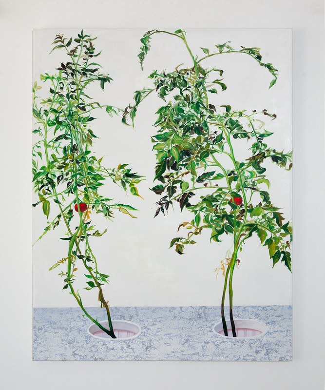 Alex Fischer, Vii 江明 Jiang Ming, 2015-02-26